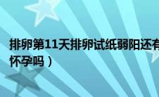 排卵第11天排卵试纸弱阳还有希望吗（排卵试纸11天弱阳是怀孕吗）
