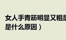 女人手青筋明显又粗是什么原因（手青筋明显是什么原因）