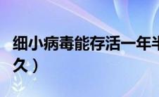 细小病毒能存活一年半吗（细小病毒能存活多久）