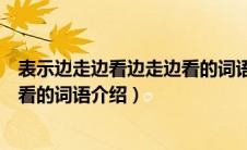 表示边走边看边走边看的词语是什么（表示边走边看边走边看的词语介绍）