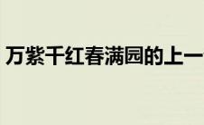 万紫千红春满园的上一句（这句话什么意思）