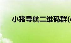 小猪导航二维码群(小猪导航加微信群)