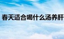 春天适合喝什么汤养肝（春天适合喝什么汤）