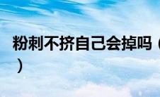 粉刺不挤自己会掉吗（粉刺不挤自己会消掉吗）