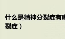 什么是精神分裂症有哪些症状（什么是精神分裂症）