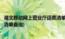 湖北移动网上营业厅话费清单查询(湖北移动网上营业厅话费清单查询)