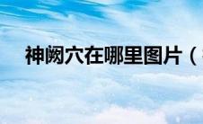 神阙穴在哪里图片（神阙穴在哪个位置）