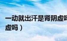 一动就出汗是肾阴虚吗女性（一动就出汗是肾虚吗）