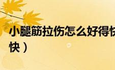 小腿筋拉伤怎么好得快（小腿筋拉伤怎么恢复快）