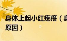 身体上起小红疙瘩（身体上出现小红疙瘩什么原因）