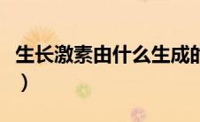 生长激素由什么生成的（生长激素由什么分泌）