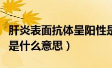 肝炎表面抗体呈阳性是什么意思（抗体呈阳性是什么意思）