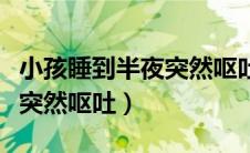 小孩睡到半夜突然呕吐怎么了（小孩睡到半夜突然呕吐）