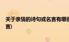 关于亲情的诗句或名言有哪些?(关于亲情的诗句和亲情的名言)