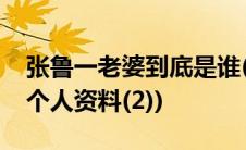 张鲁一老婆到底是谁(张鲁一老婆是谁张鲁一个人资料(2))