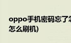 oppo手机密码忘了怎么刷机(手机密码忘了怎么刷机)