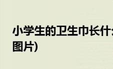 小学生的卫生巾长什么样(小学女生的卫生巾图片)