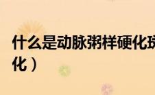 什么是动脉粥样硬化斑块（什么是动脉粥样硬化）