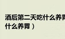 酒后第二天吃什么养胃又补胃（酒后第二天吃什么养胃）