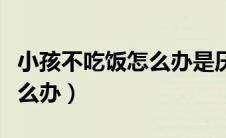 小孩不吃饭怎么办是厌食症吗（小孩不吃饭怎么办）