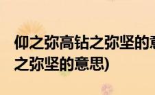 仰之弥高钻之弥坚的意思和拼音(仰之弥高 钻之弥坚的意思)