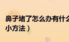 鼻子堵了怎么办有什么方法（鼻子堵了怎么办小方法）