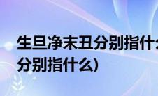 生旦净末丑分别指什么人物形象(生旦净末丑分别指什么)