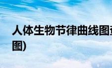 人体生物节律曲线图查询(人体生物节律曲线图)