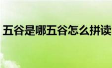 五谷是哪五谷怎么拼读(五谷是哪五谷怎么读)