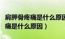 肩胛骨疼痛是什么原因用什么药膏（肩胛骨疼痛是什么原因）