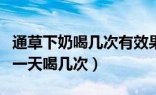 通草下奶喝几次有效果（通草直接煮水喝下奶一天喝几次）