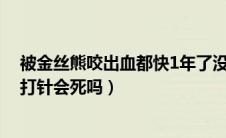 被金丝熊咬出血都快1年了没有发作（被金丝熊咬出血了不打针会死吗）