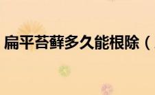 扁平苔藓多久能根除（扁平苔藓多久会癌变）