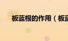 板蓝根的作用（板蓝根的好处是什么）