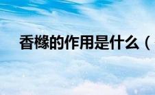 香橼的作用是什么（香橼的作用是什么）