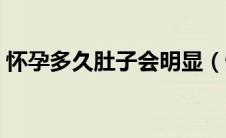 怀孕多久肚子会明显（怀孕多久肚子会变大）