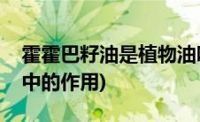 霍霍巴籽油是植物油吗(霍霍巴籽油在化妆品中的作用)
