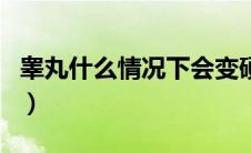睾丸什么情况下会变硬（睾丸变硬是什么原因）