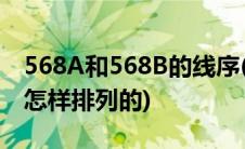 568A和568B的线序(568A和568B的线序是怎样排列的)