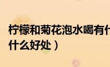 柠檬和菊花泡水喝有什么好处（菊花泡水喝有什么好处）