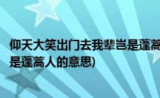 仰天大笑出门去我辈岂是蓬蒿人英文(仰天大笑出门去我辈岂是蓬蒿人的意思)