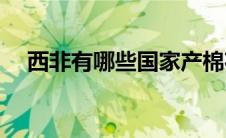 西非有哪些国家产棉花(西非有哪些国家)