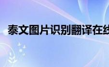 泰文图片识别翻译在线(泰文图片文字识别)