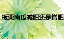 板栗南瓜减肥还是增肥（南瓜减肥还是增肥）