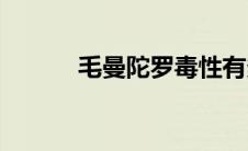 毛曼陀罗毒性有多大(毛曼陀罗)