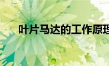 叶片马达的工作原理(马达的工作原理)