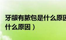 牙龈有脓包是什么原因造成的（牙龈有脓包是什么原因）