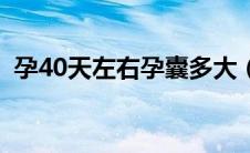 孕40天左右孕囊多大（40天的孕囊有多大）