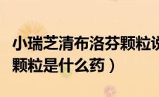 小瑞芝清布洛芬颗粒说明书（小瑞芝清布洛芬颗粒是什么药）