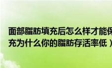 面部脂肪填充后怎么样才能保证成活率（都是做面部脂肪填充为什么你的脂肪存活率低）